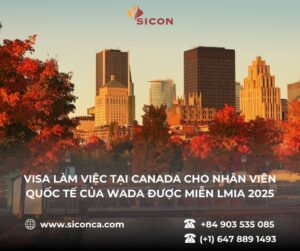 Visa làm việc tại Canada cho nhân viên quốc tế của WADA được miễn LMIA 2025