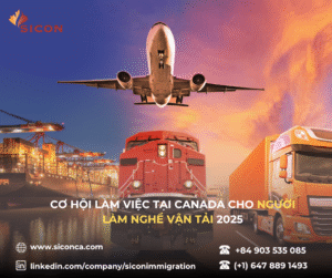 CẬP NHẬT GIẤY PHÉP LAO ĐỘNG CHO LAO ĐỘNG NGÀNH VẬN TẢI 2025