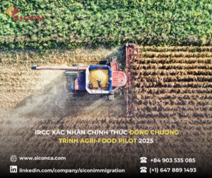 OINP chính thức tạm dừng dòng Skilled Trades