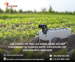 Lực lượng hỗ trợ lao động nông nghiệp Caribbean tại Canada bước vào khung xét mới của IRCC 2025-2026